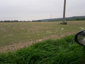 IMG-98d1170a3c2ed880959a1d4a14495e4b-V (002)